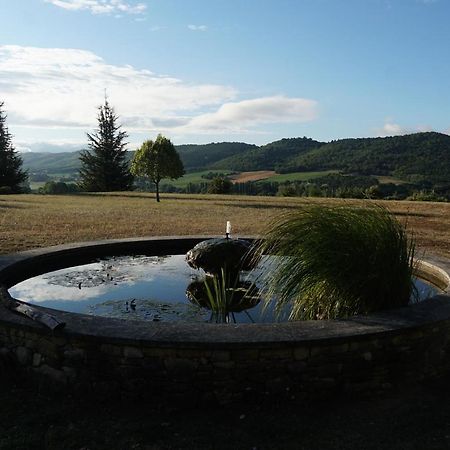 Villa Les Néfliers Céreste Esterno foto